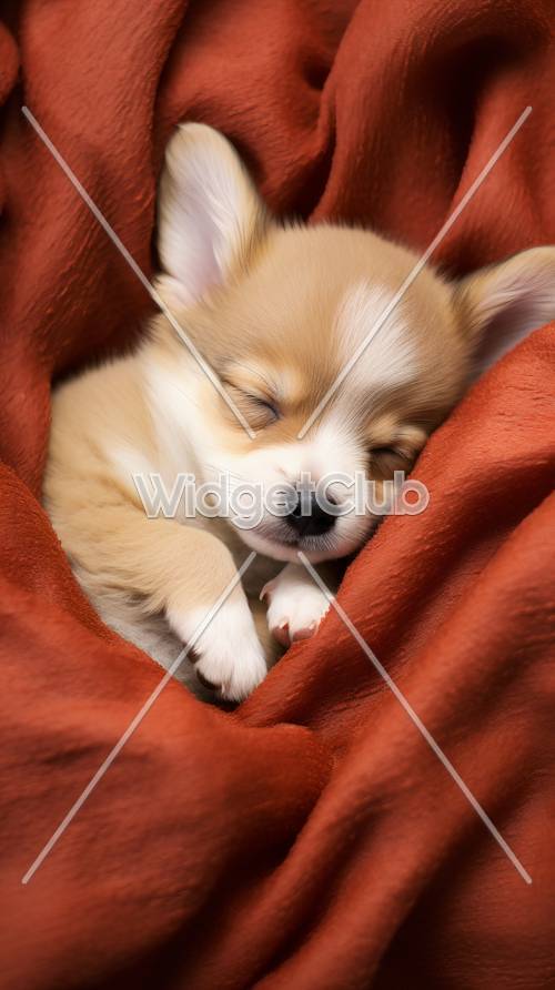 Sogni di un cucciolo addormentato