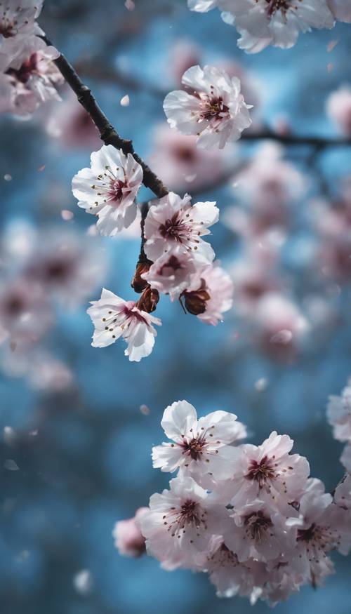Kelopak bunga sakura biru ditangkap di udara dalam efek gerakan lambat.