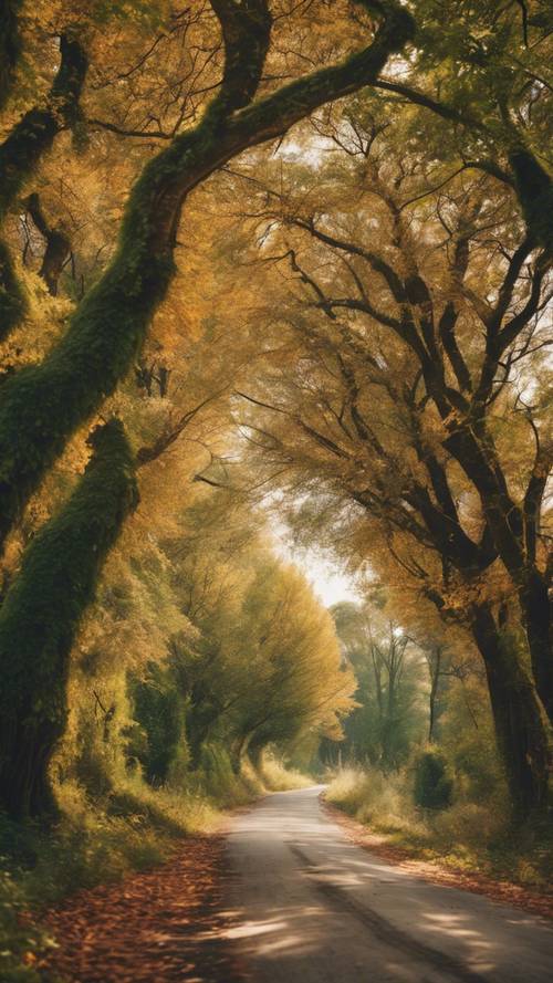 Jalan pedesaan yang berkelok-kelok dengan deretan pepohonan hijau subur di musim gugur