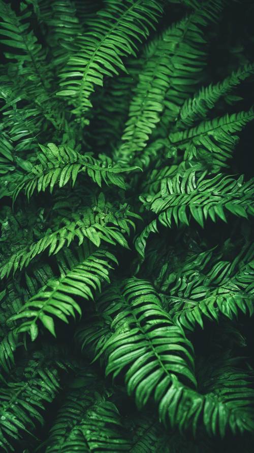 深緑のシダのジャングル葉が重なって模様を作る壁紙