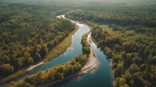 An aerial view of a sprawling forest with picturesque river meandering through.