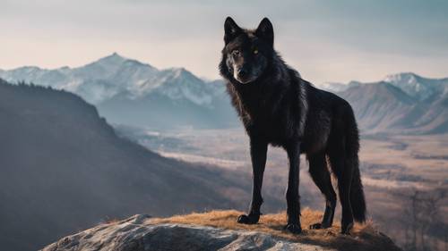 A black wolf standing stoically at the edge of a cliff, overlooking a panoramic mountain range.