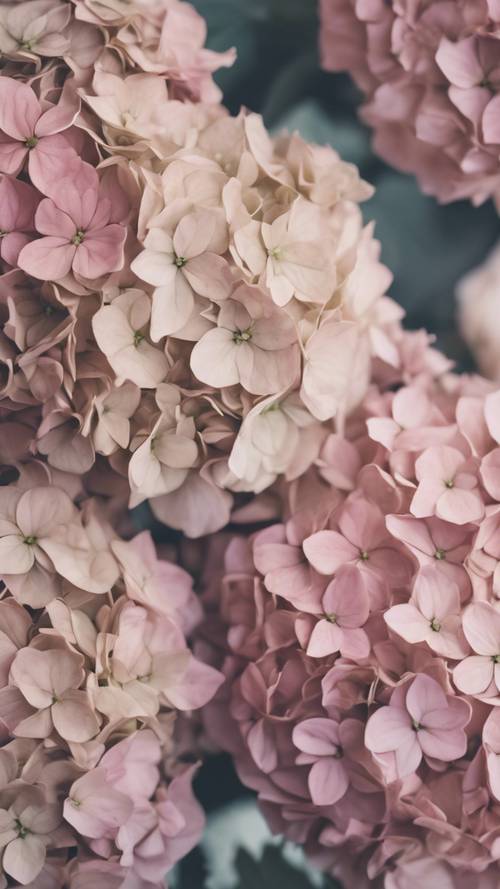 Un motivo floreale antico con delicate ortensie in una tonalità rosa vintage.
