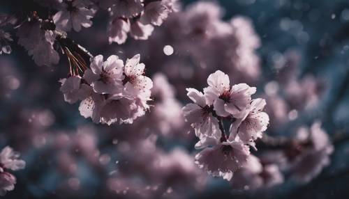 Fleurs de cerisier noires flottant sur un ciel maussade de minuit