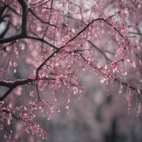 灰色柳树的哥特式艺术，粉红色的花瓣从其上落下。