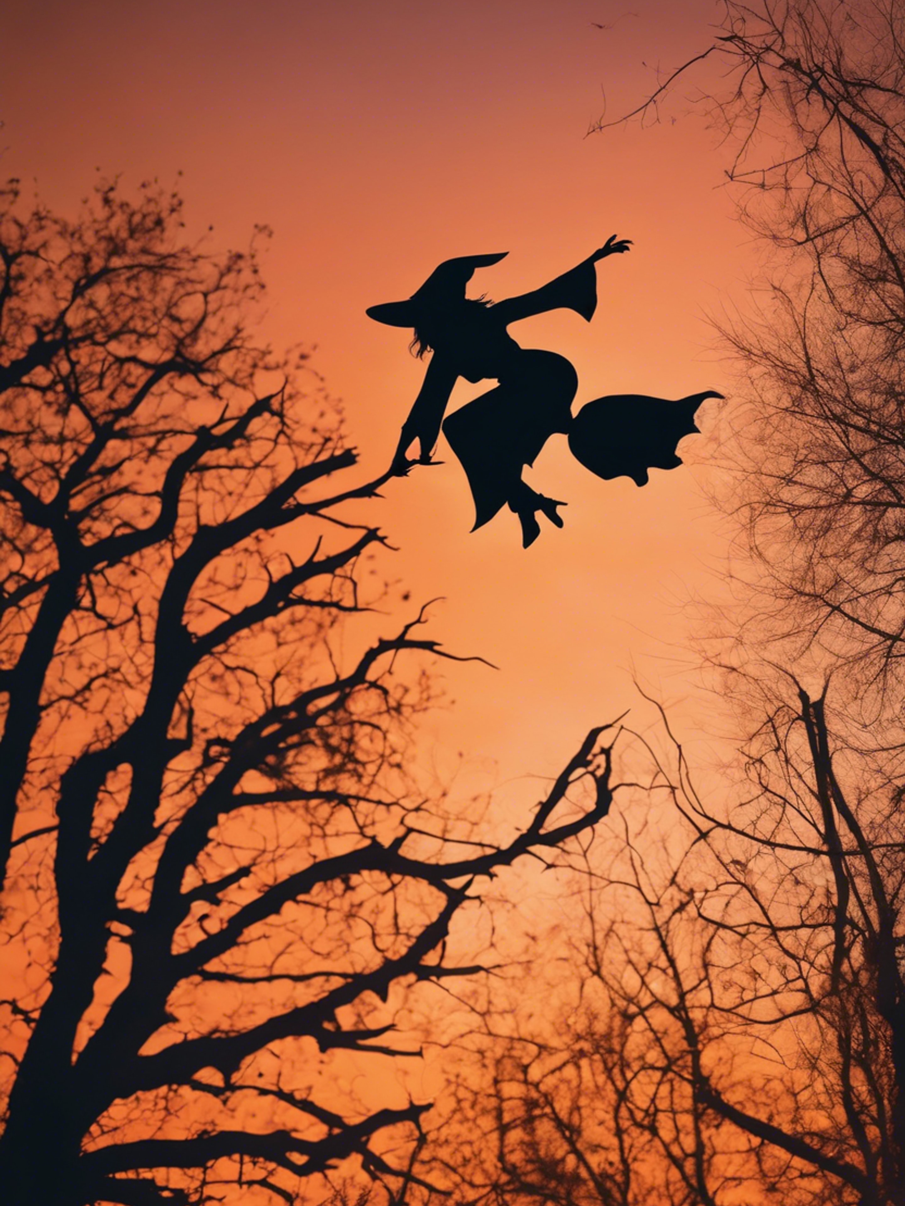 Black silhouette of a witch flying against a fiery, orange, and halloween-themed sunset. Wallpaper[4c9a46c8ed7945f78520]