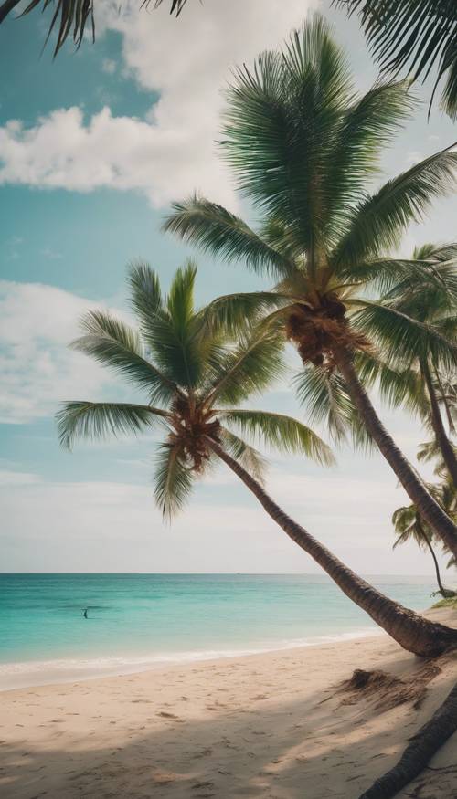 Uma bela praia deserta com ondas calmas do oceano azul-turquesa batendo na costa, cercada por exuberantes palmeiras tropicais.