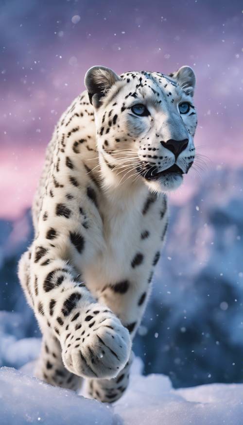 A breathtaking scene of a white leopard gracefully leaping between icy cliffs under the Northern lights. Wallpaper [8f692448a66a4f9e8c4e]