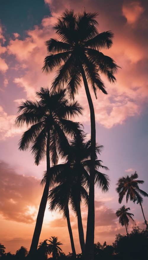 Uma vista deslumbrante de palmeiras altas e escuras contra um céu vibrante do pôr do sol.