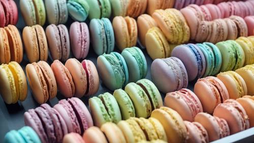 Une gamme de macarons en papier de couleur pastel disposés selon un motif arc-en-ciel sur un présentoir de boulangerie.