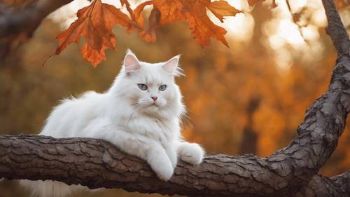 Ein detailliertes Porträt einer majestätischen weißen sibirischen Katze, die auf einem Eichenast faulenzt, vor der Kulisse einer feurigen Herbstdämmerung.