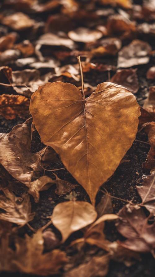 一片棕色的心形叶子飘落在其他秋叶之中。