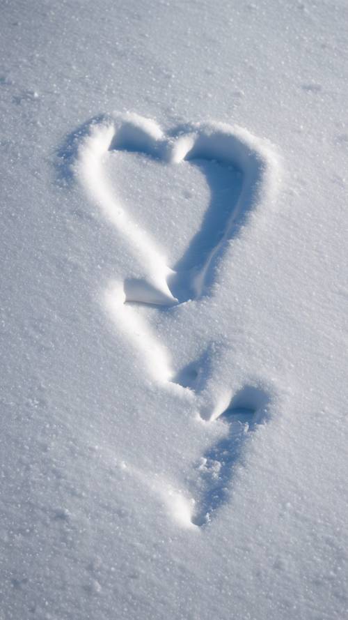 一張令人心酸的照片，一條心形的狼足跡印在新鮮、鬆脆的雪地上，象徵著看不見的野生動物的存在。