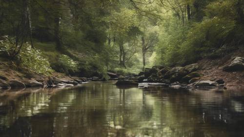 Una imagen de un tranquilo arroyo balbuceante en el bosque, con &#39;En la quietud y la confianza está tu fuerza&#39; grabado en el reflejo del agua.