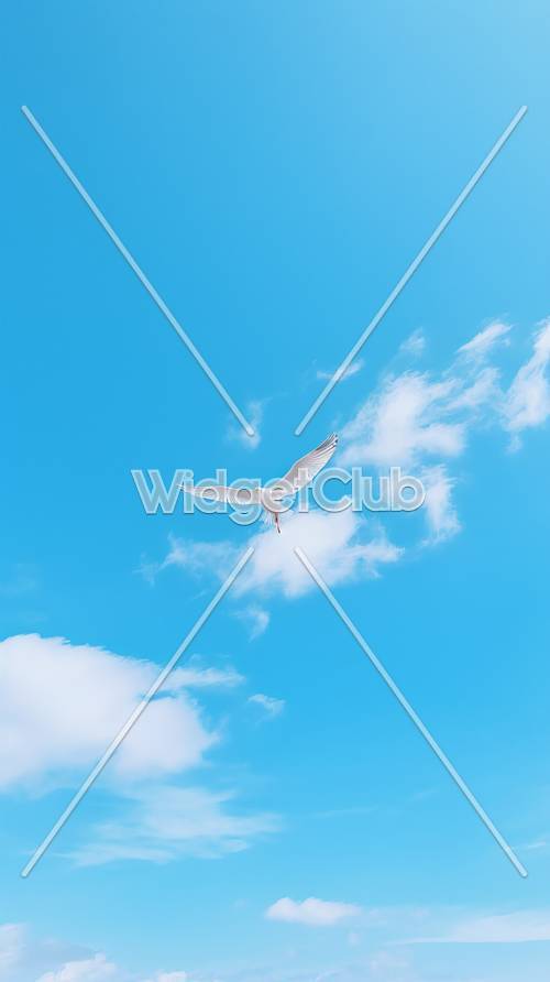 Blue Sky Wallpaper [26a88f1734da4d40be5f]