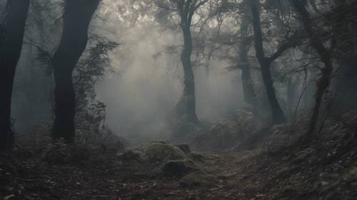 Une forêt enchantée enveloppée d’une épaisse couche de fumée étrange et inquiétante.