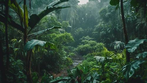 A dense jungle in the middle of a tropical rainstorm with vivid flora and fauna.