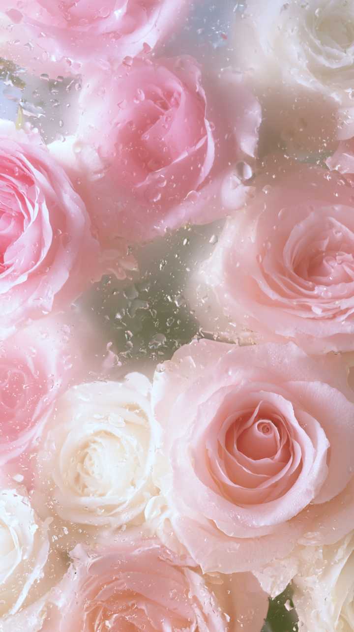 download image