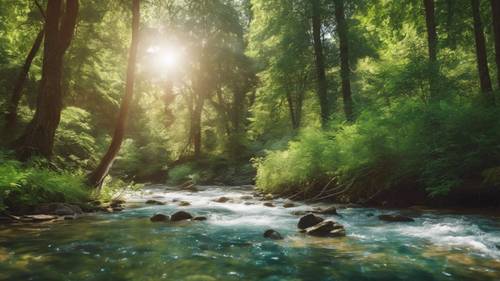 A crystal-clear river flowing through a sun-dappled forest on a calm July day.