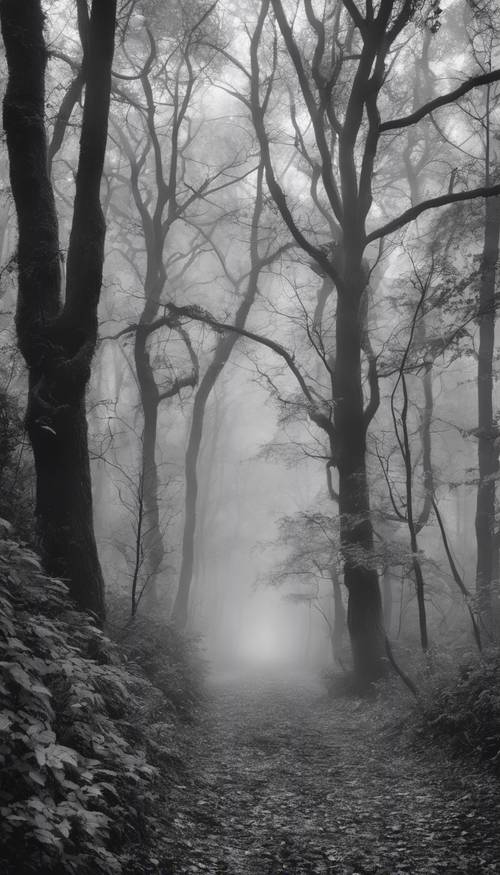 Black and white photograph of a dense forest path shrouded in fog.