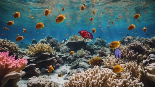 Um lindo recife de corais agitado com peixes coloridos e vida aquática, a citação &#39;Sua vida não melhora por acaso. Ela melhora pela mudança&#39; aparecendo naturalmente nos padrões dos corais.