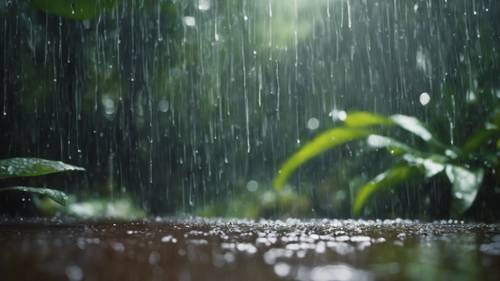 סצנה של גשם זלעפות שהופך את יער הגשם לאינספור גוונים ארציים.