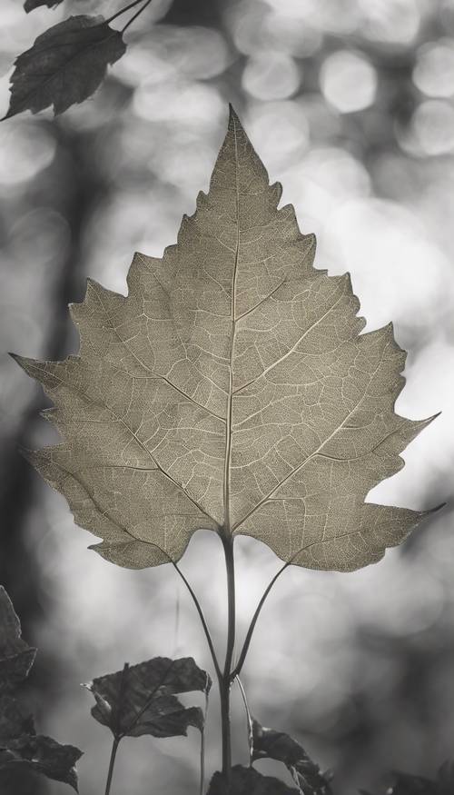 Stile artistico monocromatico raffigurante un delicato scheletro di foglia che rivela le intricate venature che hanno dato vita al verde dell&#39;estate, ora incise per sempre nell&#39;oro dell&#39;autunno.