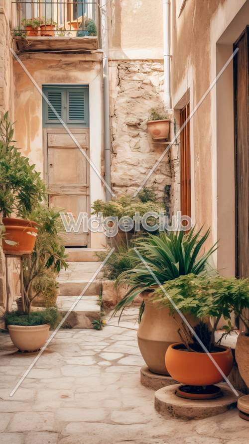 Очаровательный переулок с растениями и деревенской дверью