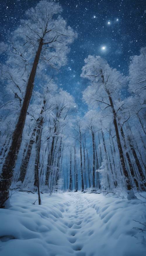 Ein ruhiger blauer Wald, bedeckt mit tiefem Winterschnee unter einem klaren Sternenhimmel.