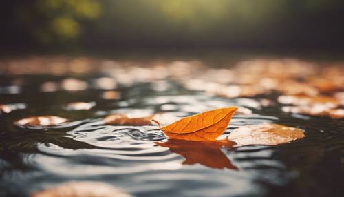 鳥瞰，一片橙葉順著平靜的河水飄落。