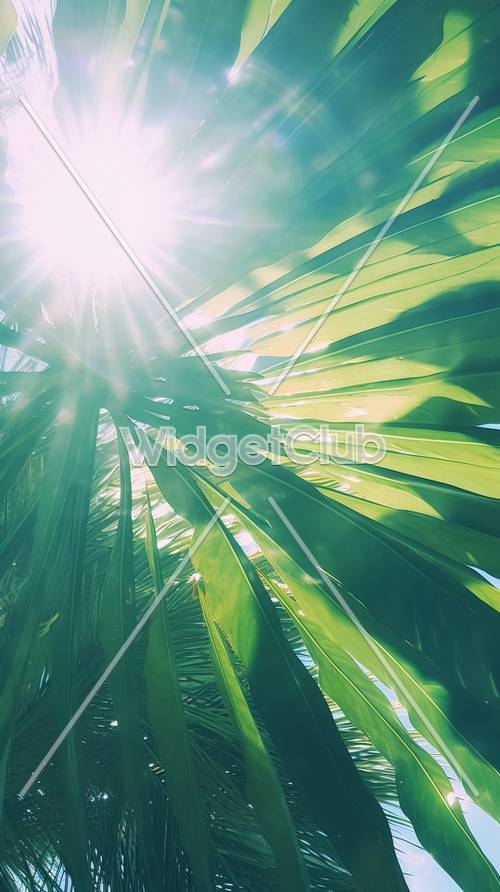 Luz del sol a través de hojas tropicales