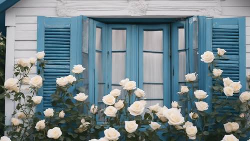 Des roses blanches peintes sur les volets d’un charmant cottage bleu.