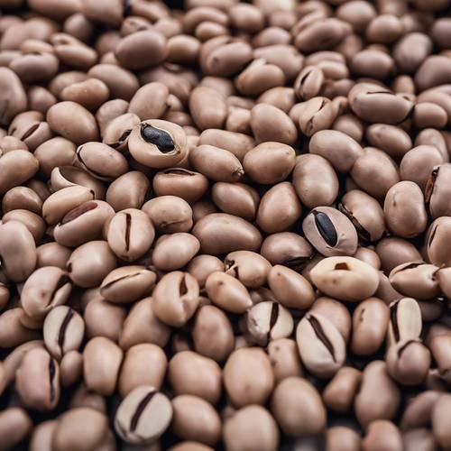 Bidikan makro mendetail dari kacang bermata hitam yang bersarang di antara kacang lainnya, menggambarkan kekayaan dan teksturnya. Wallpaper [333dd04a28d647b69487]