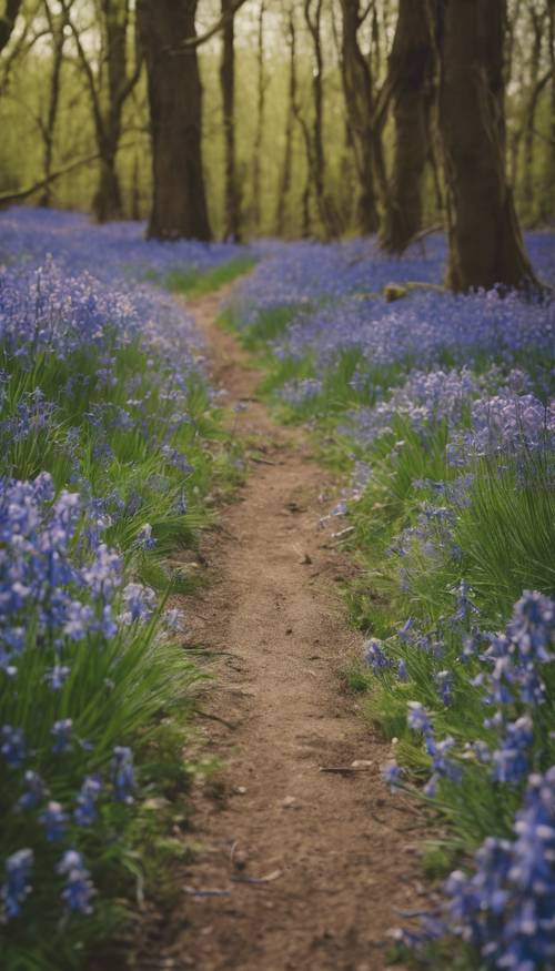 A meandering dirt path through a field of bluebells.