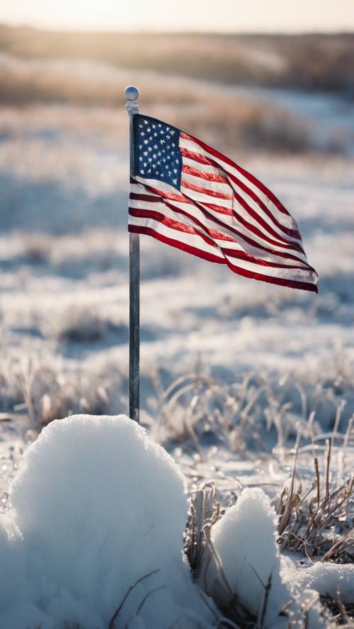 Pemandangan musim dingin yang dingin dengan bendera Amerika berkibar di lanskap tandus.