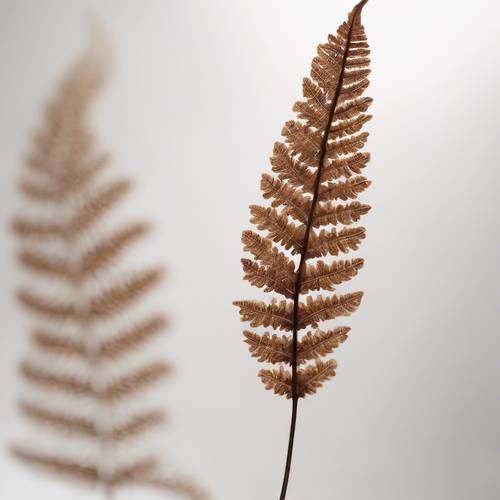 在柔和的白色背景下，精心雕刻的棕色蕨类植物叶子的艺术表现。