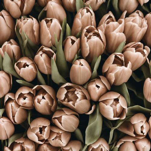 Artwork of a vintage-styled bouquet of tulips wrapped in brown paper.