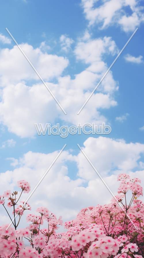ท้องฟ้าสีฟ้าและดอกไม้สีชมพู: เหมาะสำหรับพื้นหลังวันที่สดใส