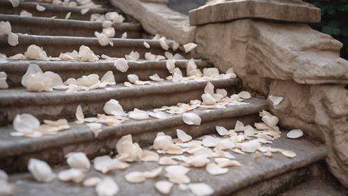 White rose petals trailing down a set of ornate stone steps.