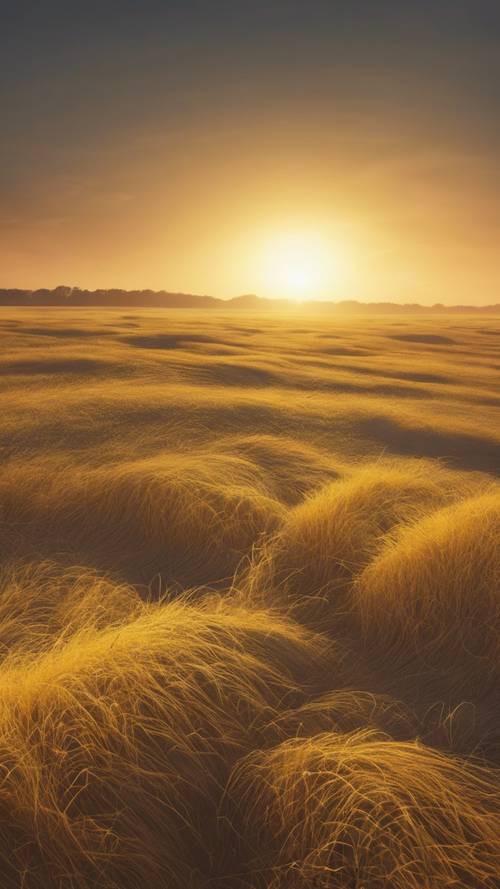 Uma planície amarela vazia na madrugada fria, com o sol começando a nascer.