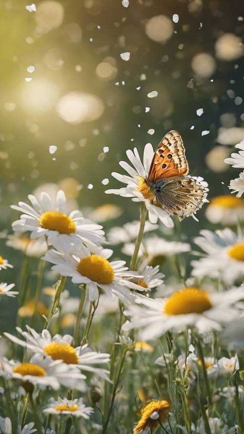 A lush meadow filled with blooming daisies and fluttering butterflies.