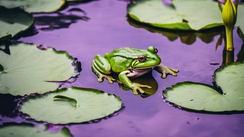 A green frog sitting on a lily pad in a pond with purple water lilies.