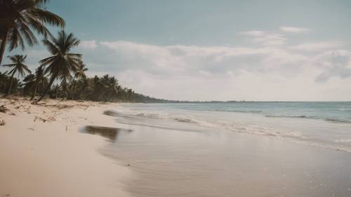 A scenic view of the sandy beach with palm trees and a clear horizon.