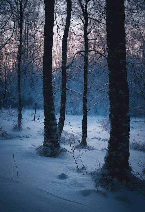 Północnoeuropejski zimowy krajobraz pod fakturą ciemnoniebieskiego zmierzchu.