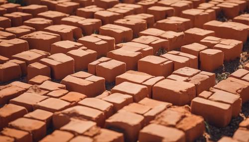 A field of fresh orange terracotta bricks, glowing under the warm afternoon sun.