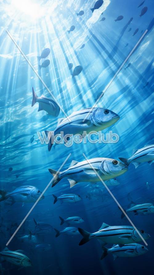 Blue Fish Wallpaper [2192f9aa7b2c4377b071]