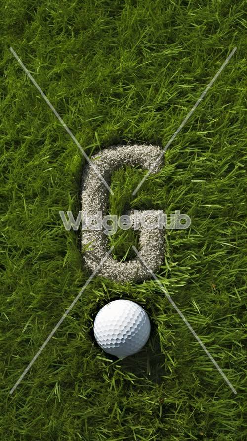Zielone pole golfowe numer sześć