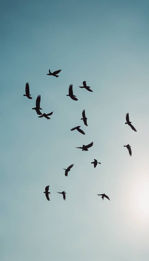 Silhouettes of birds of prey soaring high up in the clear blue sky.