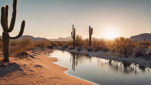 A river in the desert during sunset, with nearby cacti casting long shadows on the sandy banks.