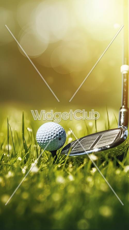 Club de golf Sunny Day y escena de pelota
